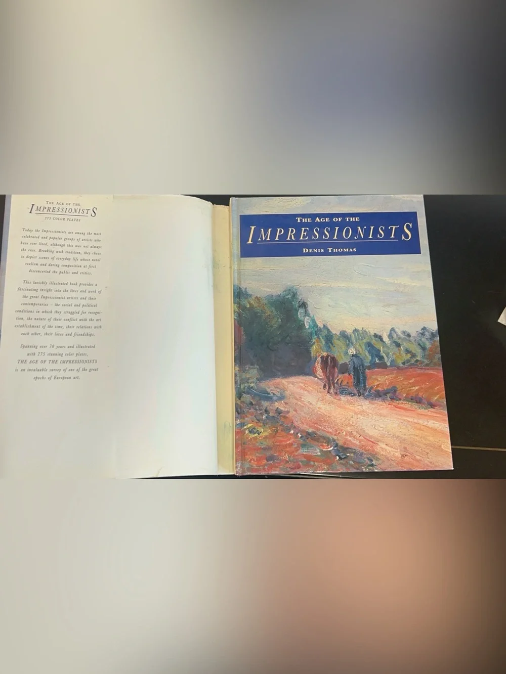 N/A age impressionists